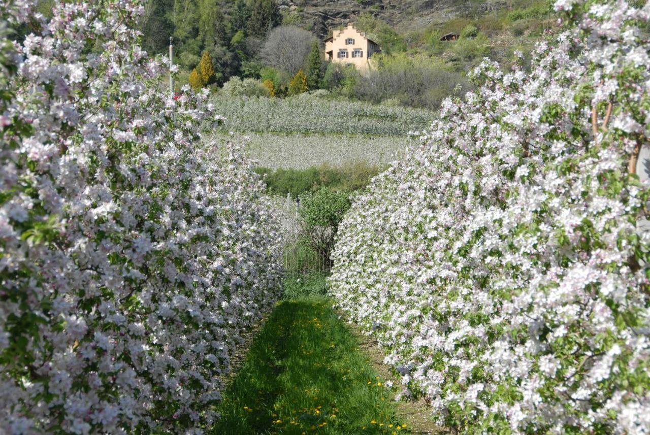 Sonnwarthof Βίλα Silandro Εξωτερικό φωτογραφία