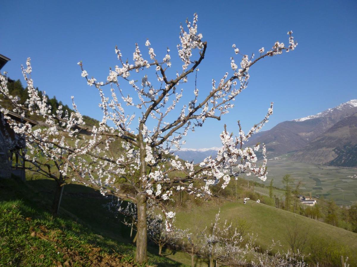 Sonnwarthof Βίλα Silandro Εξωτερικό φωτογραφία