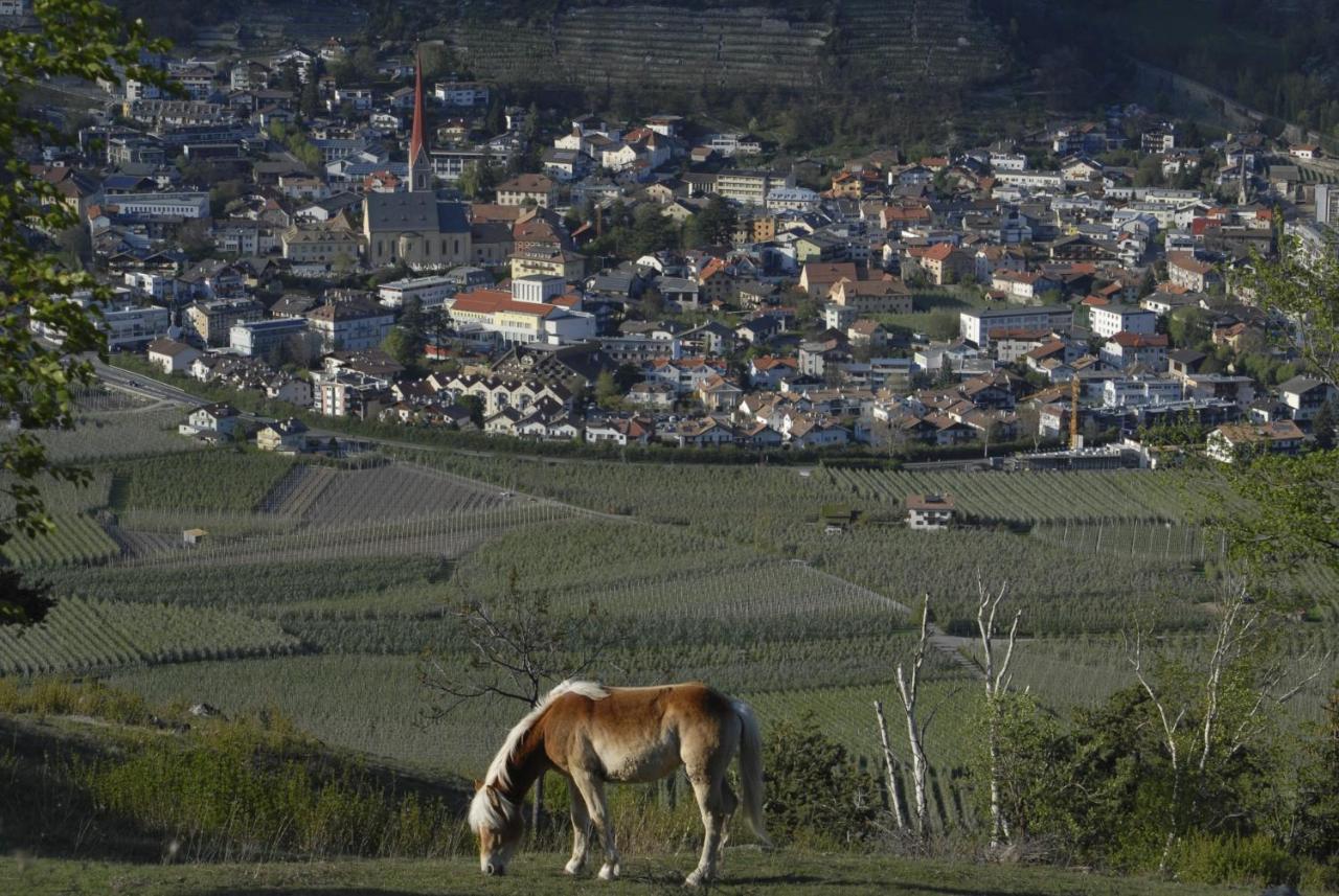 Sonnwarthof Βίλα Silandro Εξωτερικό φωτογραφία